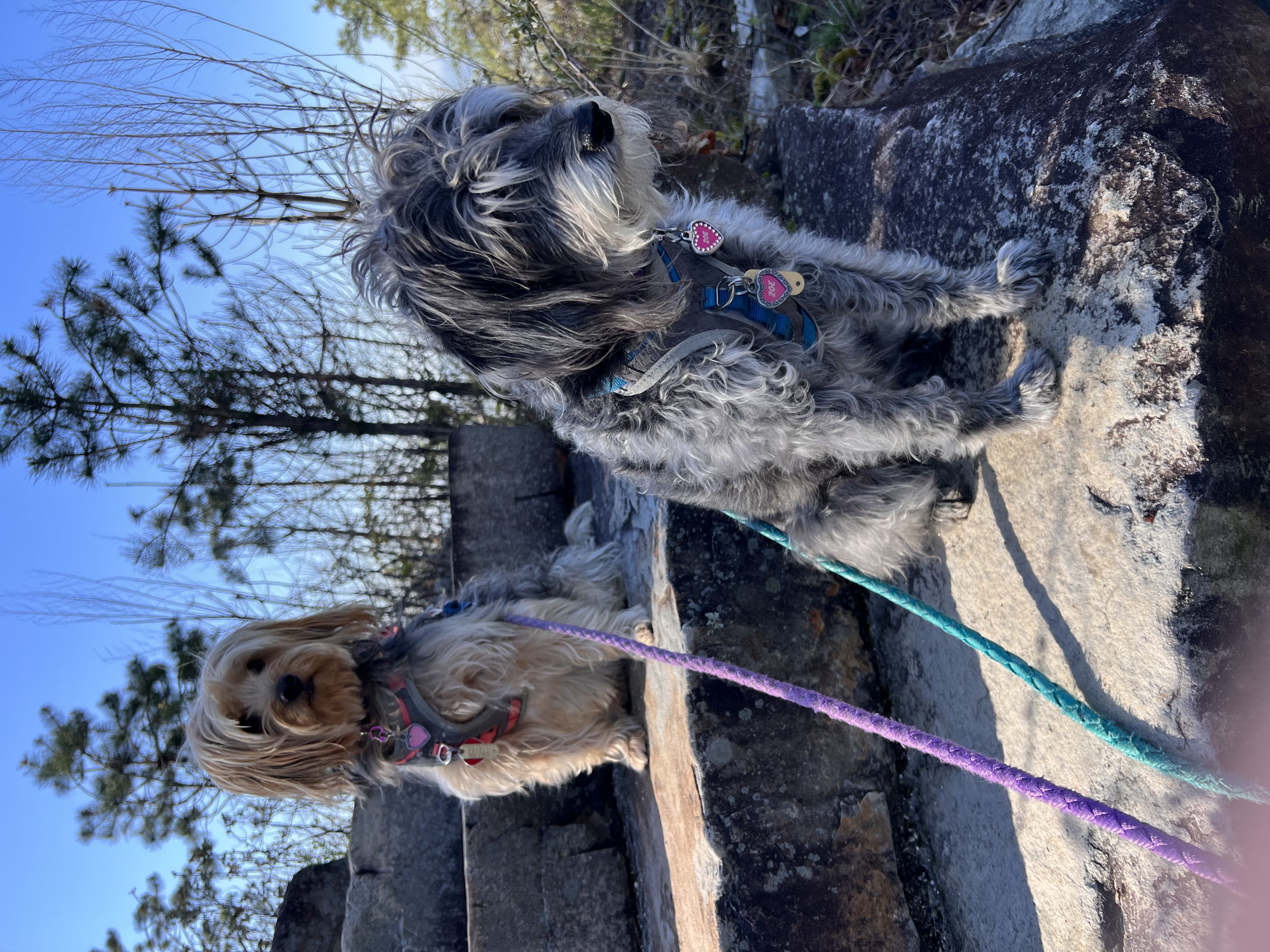 ./2023/05 - Toni Adventures/IMG_2997.JPG